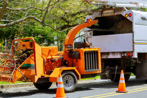 Best Utility Line Clearance  in Pampa, TX